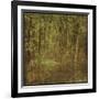 Fog in Mountain Trees-John W^ Golden-Framed Art Print