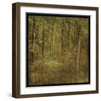 Fog in Mountain Trees-John W Golden-Framed Giclee Print