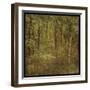 Fog in Mountain Trees-John W Golden-Framed Giclee Print