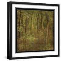 Fog in Mountain Trees-John W Golden-Framed Giclee Print