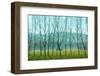Fog In the Field, Normandy-Caroyl La Barge-Framed Photographic Print