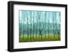 Fog In the Field, Normandy-Caroyl La Barge-Framed Photographic Print