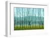 Fog In the Field, Normandy-Caroyl La Barge-Framed Photographic Print