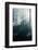 Fog in the Forest-aleksey.stemmer-Framed Photographic Print