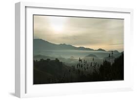 Fog in the Mountain-Linden Sally-Framed Art Print