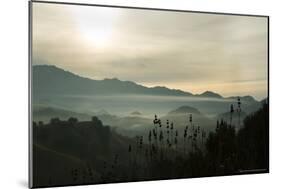 Fog in the Mountain-Linden Sally-Mounted Art Print