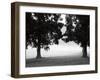 Fog in the Park II-Gary Bydlo-Framed Giclee Print