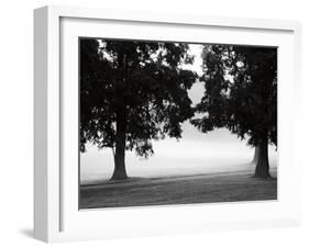 Fog in the Park II-Gary Bydlo-Framed Giclee Print