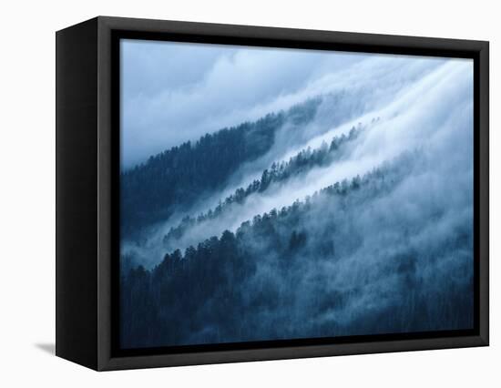 Fog in the Smokey Mountains-Karen Kasmauski-Framed Stretched Canvas