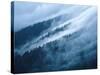 Fog in the Smokey Mountains-Karen Kasmauski-Stretched Canvas