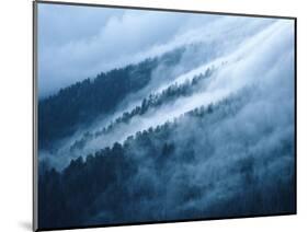 Fog in the Smokey Mountains-Karen Kasmauski-Mounted Photographic Print