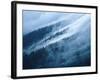 Fog in the Smokey Mountains-Karen Kasmauski-Framed Photographic Print