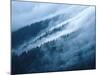 Fog in the Smokey Mountains-Karen Kasmauski-Mounted Photographic Print