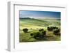 Fog in the Valley at Sunrise, Tuscany-Shaiith-Framed Photographic Print