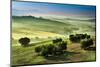 Fog in the Valley at Sunrise, Tuscany-Shaiith-Mounted Photographic Print
