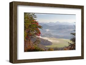 Fog in Valleys Smoky Mountain National Park Viewed from Foothills Parkway-Trish Drury-Framed Photographic Print