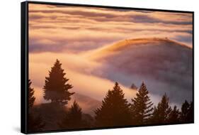 Fog Island, San Francisco Bay Area, Northern California Sunset-Vincent James-Framed Stretched Canvas