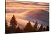 Fog Island, San Francisco Bay Area, Northern California Sunset-Vincent James-Stretched Canvas