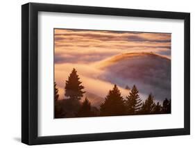 Fog Island, San Francisco Bay Area, Northern California Sunset-Vincent James-Framed Photographic Print