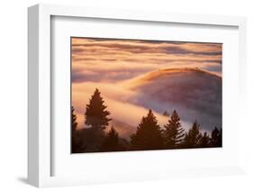 Fog Island, San Francisco Bay Area, Northern California Sunset-Vincent James-Framed Photographic Print