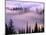 Fog Lifting over Trees-Darrell Gulin-Mounted Photographic Print