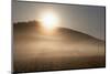 Fog on a Summer Morning-Simone Wunderlich-Mounted Photographic Print