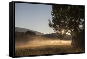 Fog on a Summer Morning-Simone Wunderlich-Framed Stretched Canvas