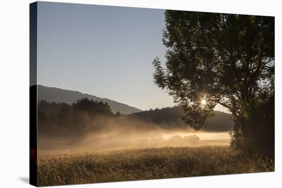 Fog on a Summer Morning-Simone Wunderlich-Stretched Canvas