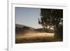 Fog on a Summer Morning-Simone Wunderlich-Framed Photographic Print