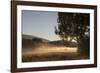 Fog on a Summer Morning-Simone Wunderlich-Framed Photographic Print