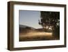 Fog on a Summer Morning-Simone Wunderlich-Framed Photographic Print