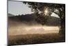 Fog on a Summer Morning-Simone Wunderlich-Mounted Photographic Print