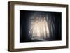 Fog on a Way-Ruslan Ivantsov-Framed Photographic Print