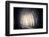 Fog on a Way-Ruslan Ivantsov-Framed Photographic Print