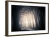 Fog on a Way-Ruslan Ivantsov-Framed Photographic Print