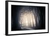 Fog on a Way-Ruslan Ivantsov-Framed Photographic Print