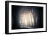 Fog on a Way-Ruslan Ivantsov-Framed Photographic Print