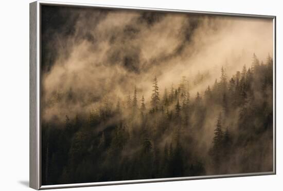 Fog on Baranof Island, Tongass National Forest Alaska, USA-Jaynes Gallery-Framed Photographic Print