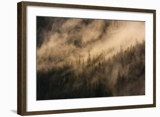 Fog on Baranof Island, Tongass National Forest Alaska, USA-Jaynes Gallery-Framed Photographic Print