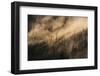 Fog on Baranof Island, Tongass National Forest Alaska, USA-Jaynes Gallery-Framed Photographic Print