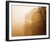 Fog on Shelly Lake I-Alan Hausenflock-Framed Photo