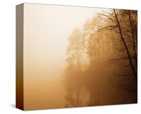 Fog on Shelly Lake I-Alan Hausenflock-Stretched Canvas