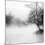 Fog on the Lake 1-Sally Linden-Mounted Photographic Print