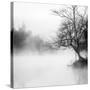 Fog on the Lake 1-Sally Linden-Stretched Canvas