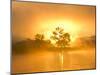 Fog on the Missouri River at the Upper Missouri River Breaks National Monument, Montana, Usa-Chuck Haney-Mounted Photographic Print