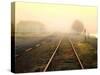 Fog on the Tracks-Jody Miller-Stretched Canvas