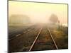 Fog on the Tracks-Jody Miller-Mounted Photographic Print