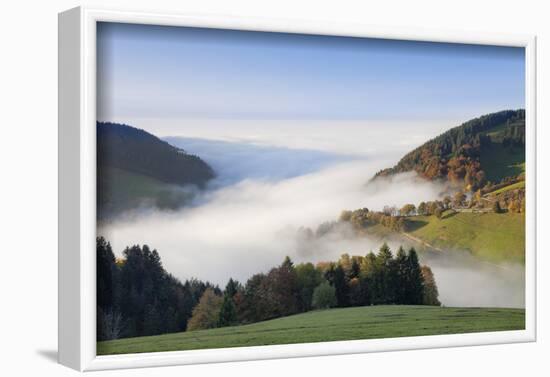 Fog on the Wiedener Eck, Black Forest, Baden-Wurttemberg, Germany-Markus Lange-Framed Photographic Print