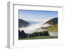 Fog on the Wiedener Eck, Black Forest, Baden-Wurttemberg, Germany-Markus Lange-Framed Photographic Print