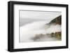 Fog on the Wiedener Eck, Black Forest, Baden-Wurttemberg, Germany-Markus Lange-Framed Photographic Print